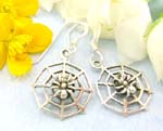 Sterling silver earrings decor in shinny spider web with fish hook