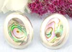 Wholesale earring with abalone seashell jewelry supply